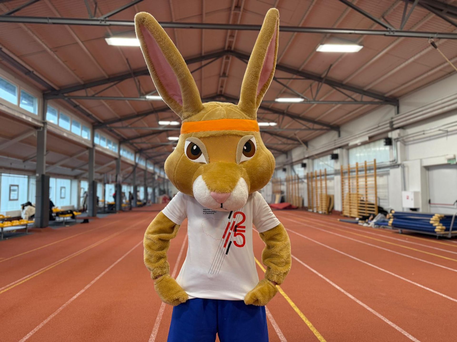 Gdyński Bieg Niepodległości z Decathlon