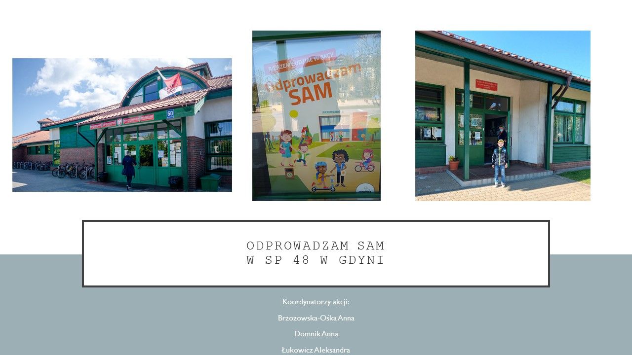 gallery.image_alt