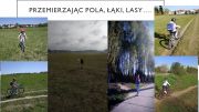 gallery.image_alt