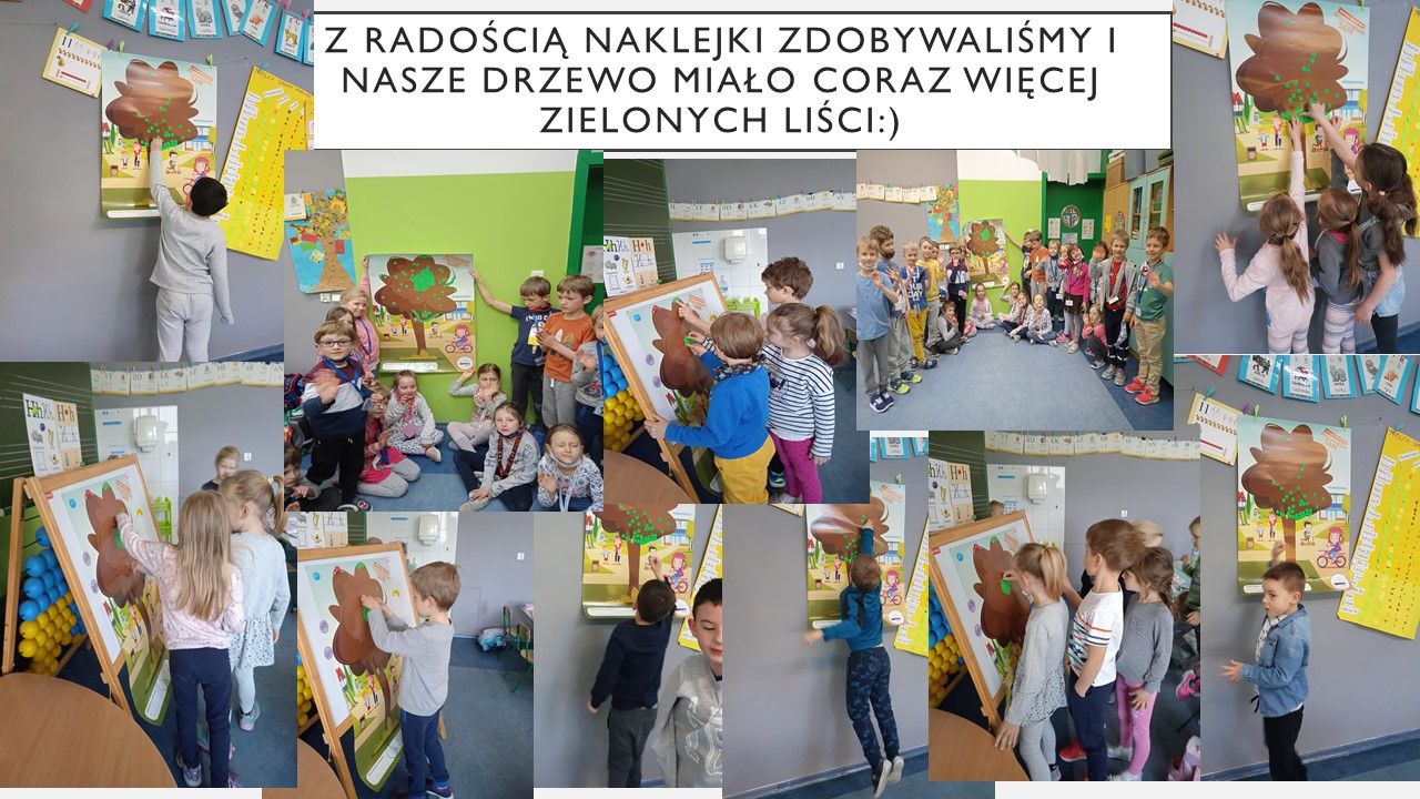 gallery.image_alt