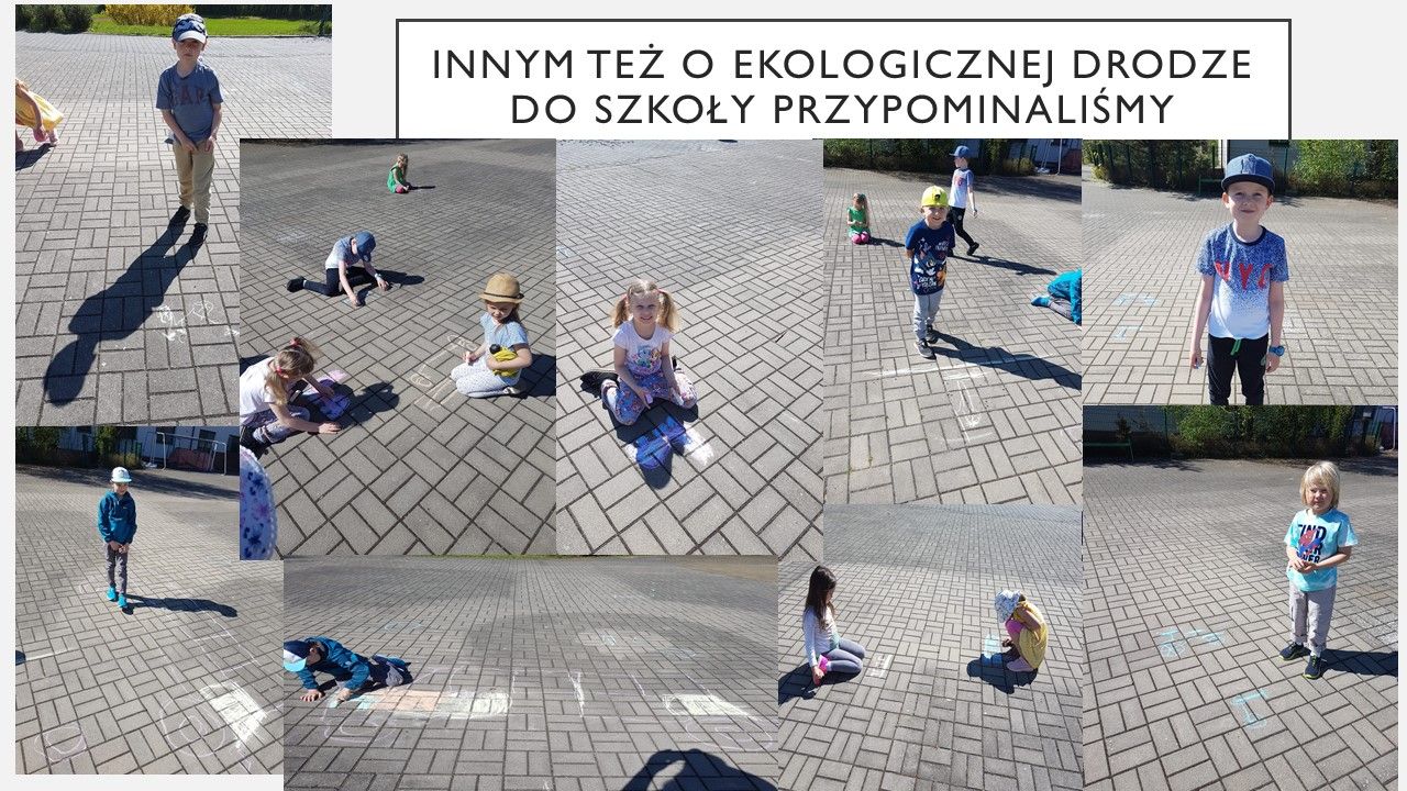 gallery.image_alt