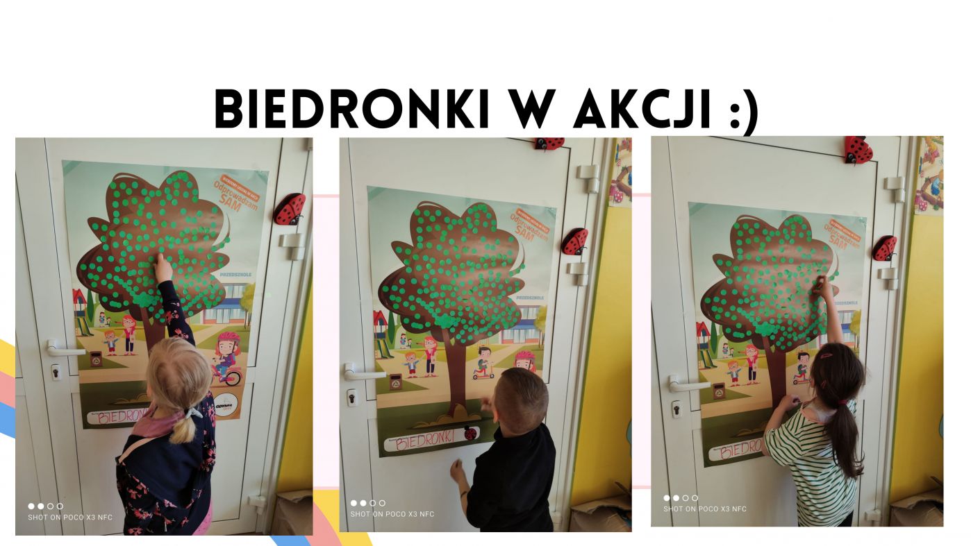 gallery.image_alt