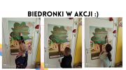 gallery.image_alt