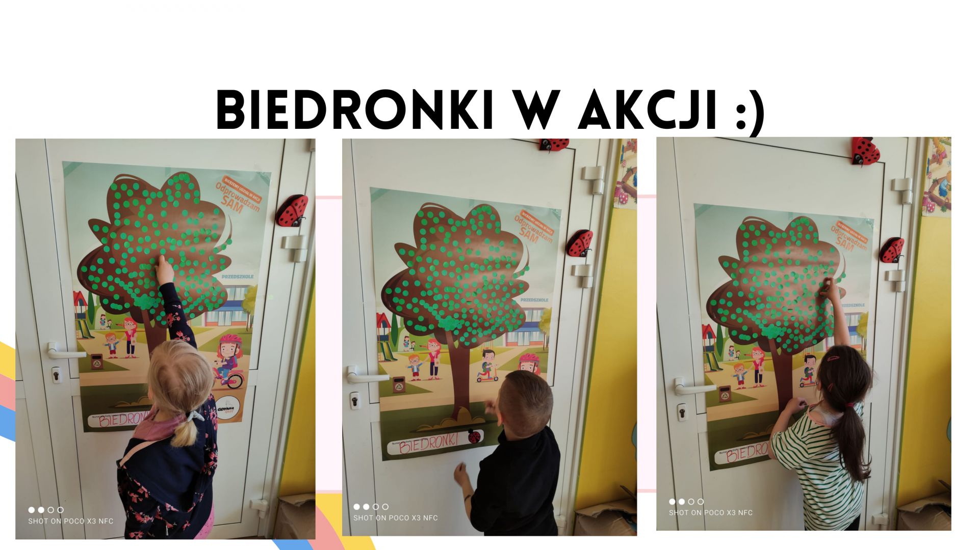 gallery.image_alt