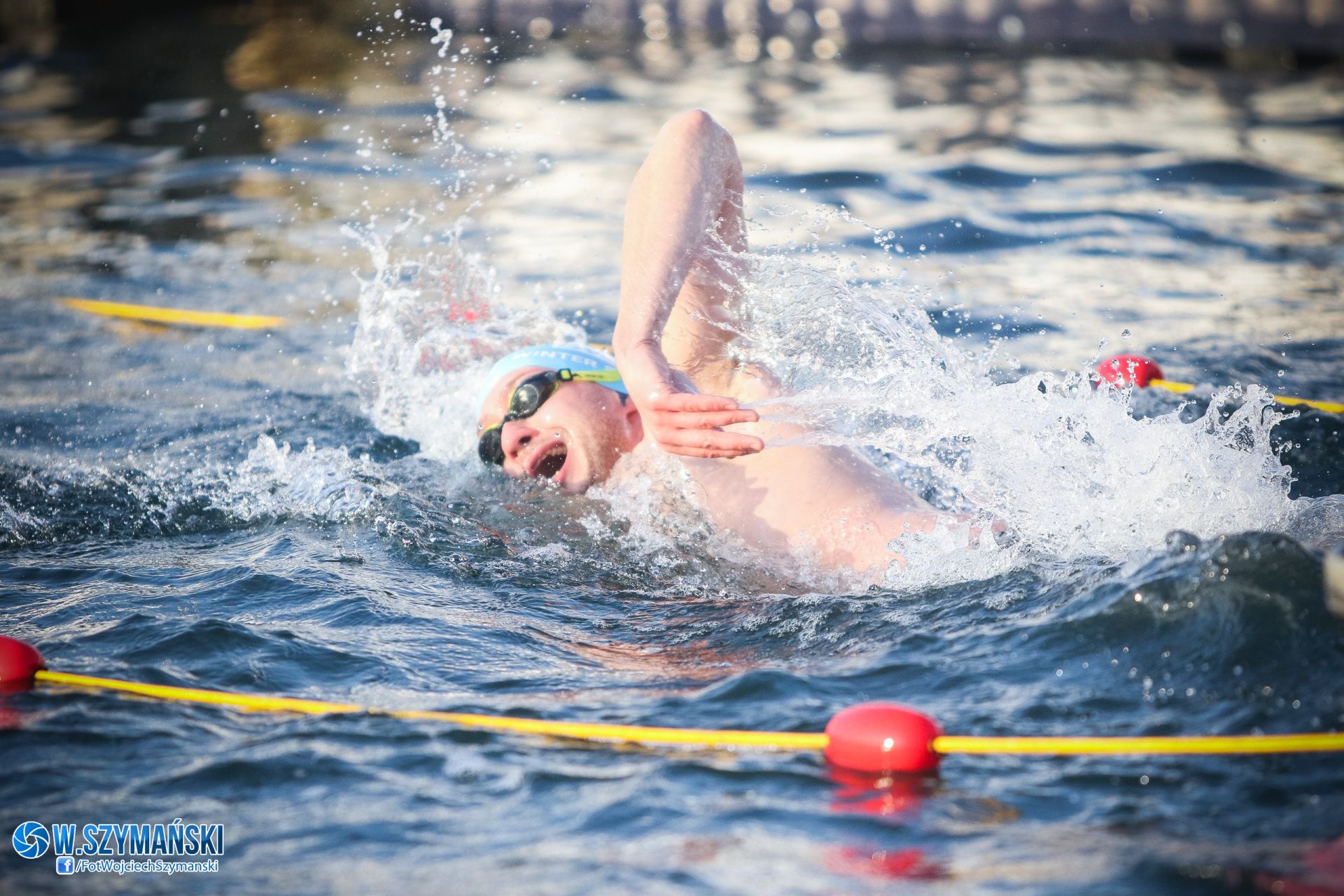 Gdynia Winter Swimming Cup 2022 - pływak w wodzie 