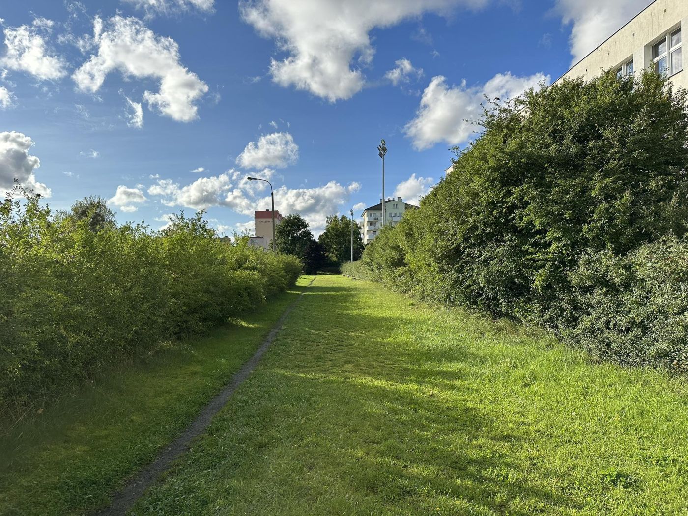 gallery.image_alt