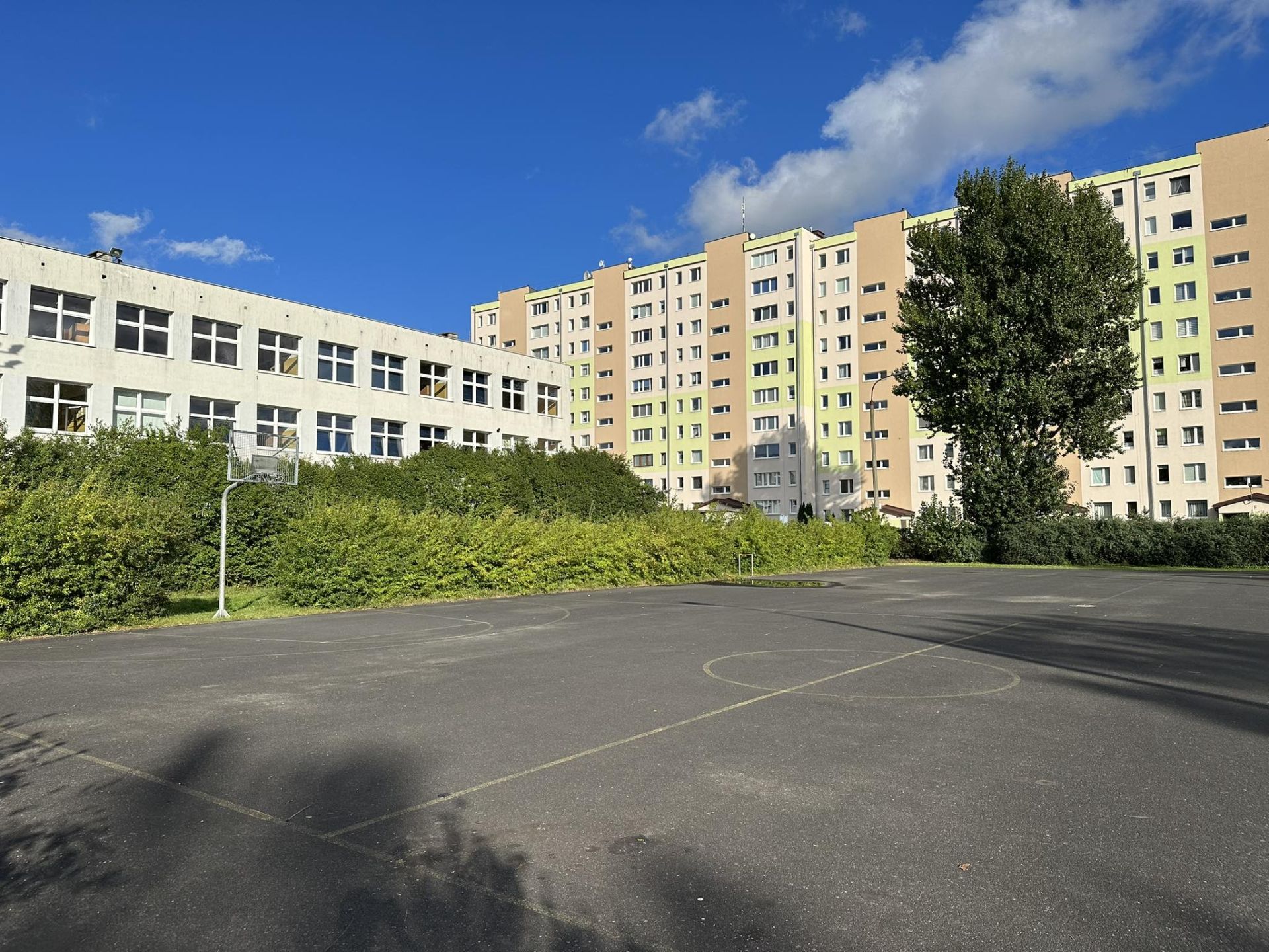 gallery.image_alt