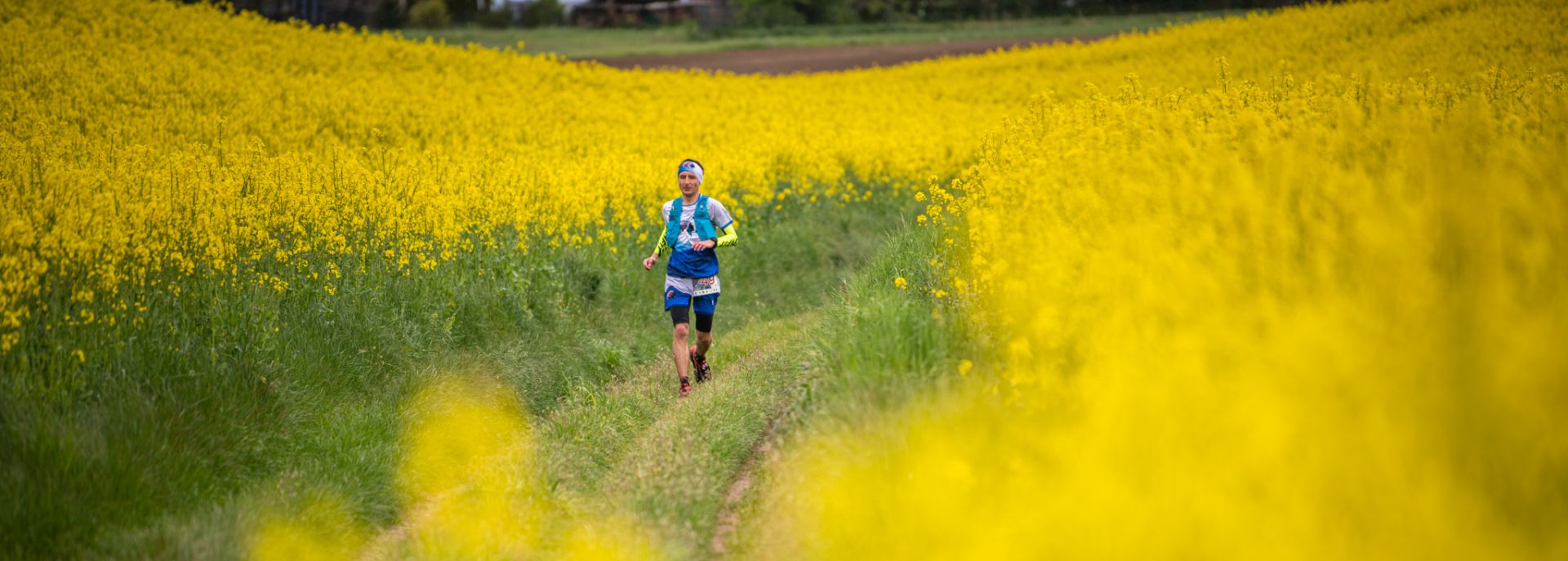 Biegacz na leśnej drodze